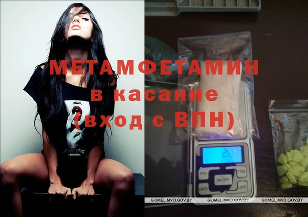 сатива Аркадак
